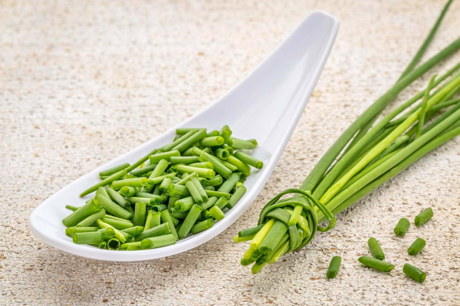 小葱的种植方法与时间"